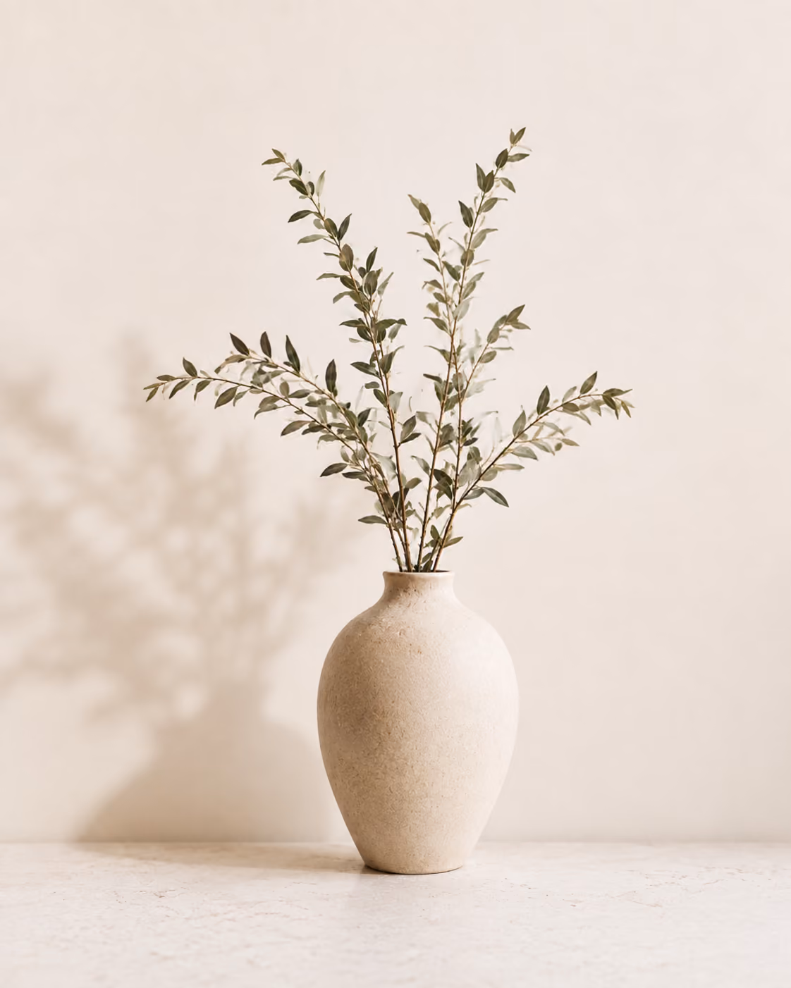 Vase céramique et branches feuillues, lumière douce